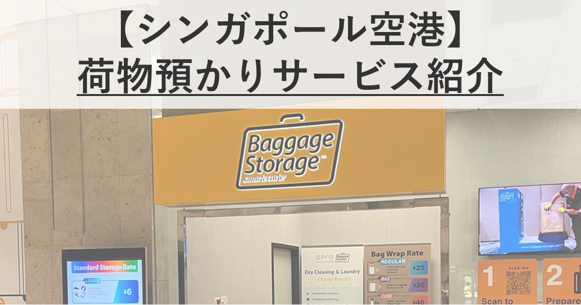 singapore-buggage-storage